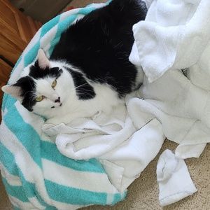 Meet your Posher, Andrea